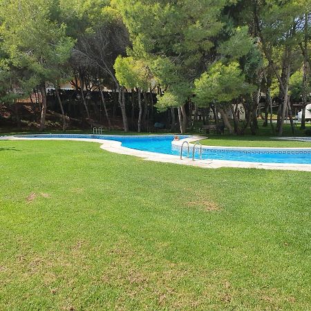 Apartment In Campoamor Overlooking The Swimming Pool Exterior foto